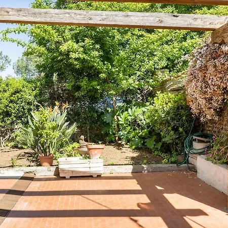 Massy & Alex House Intero